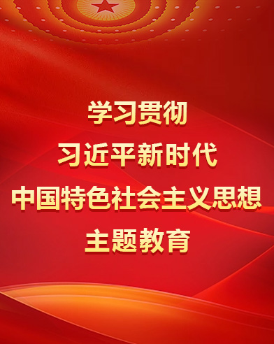 学习贯彻习近平新时代中国特色社会主义头脑主题教育