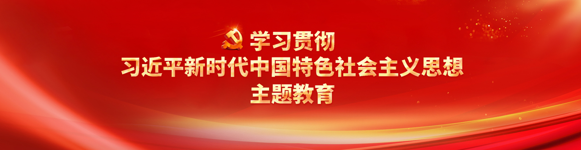 学习贯彻习近平新时代中国特色社会主义头脑主题教育