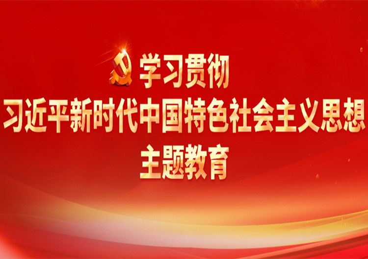 学习贯彻习近平新时代中国特色社会主义头脑主题教育